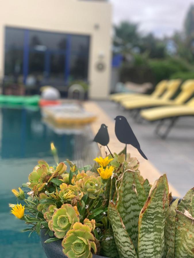 Auberge Oualidia Dream エクステリア 写真