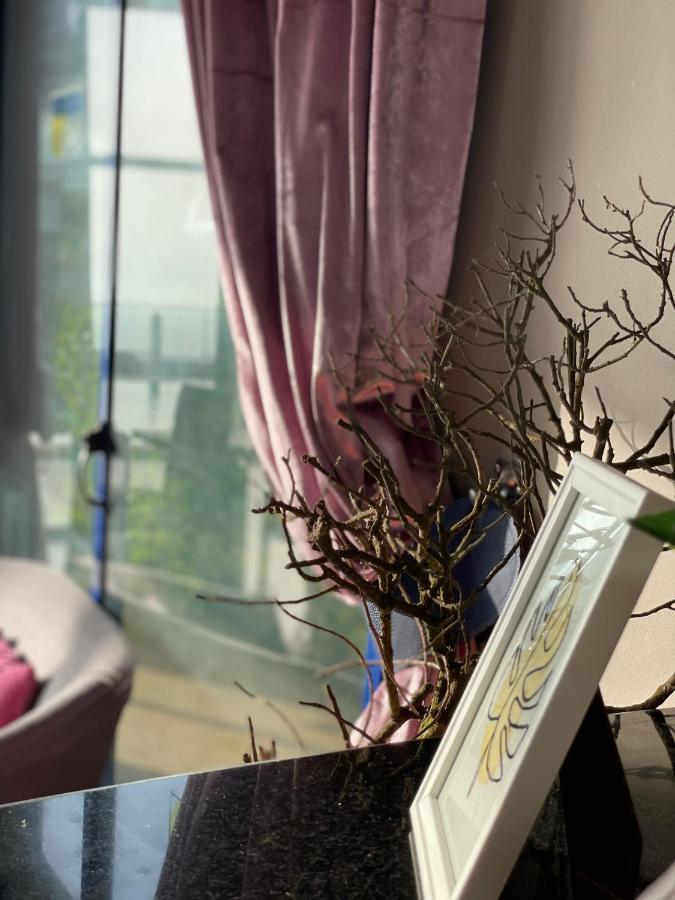 Auberge Oualidia Dream エクステリア 写真